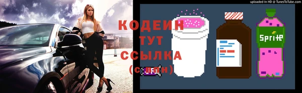 мет Пестово