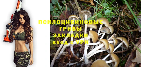 мет Пестово